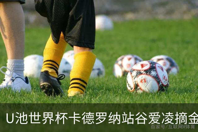 U池世界杯卡德罗纳站谷爱凌摘金 15个冠军创纪录